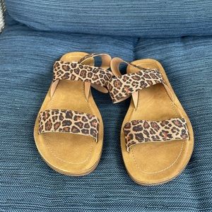 Steve Madden Leopard Roma Sandals